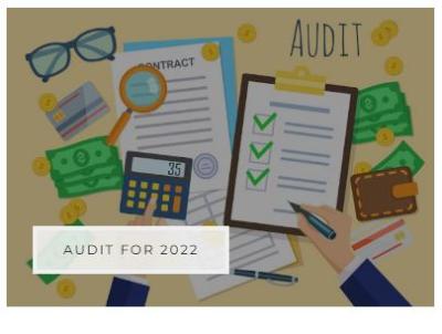 Audit for 2022